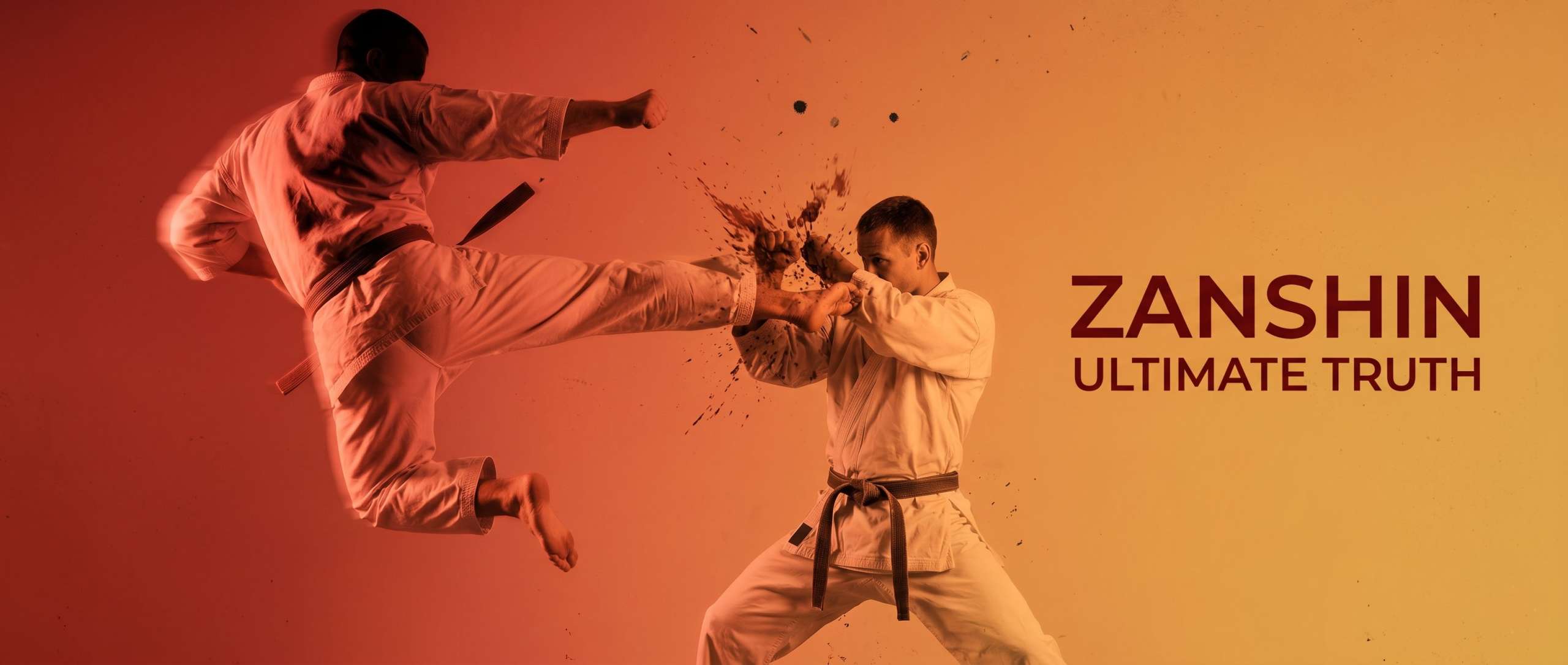 ZANSHIN DOJO BRASOV