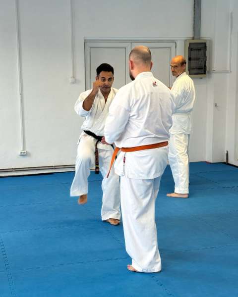 Exerciții de kihon (tehnică de bază) la Kyokushin – Zanshin Dojo Brașov